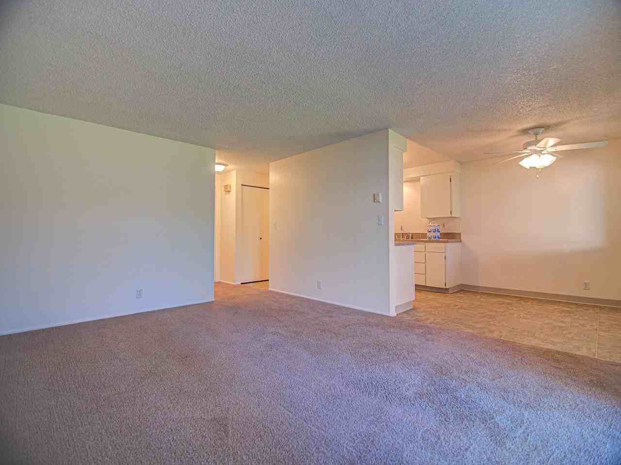 #314 THE MAPLES APARTMENTS - Photo 4 of 7