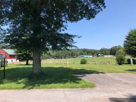 featured image of 125 Chestnut Ln