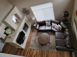 featured image of 479 Black Feather Loop