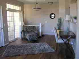 479 Black Feather Loop - Photo 1 of 1