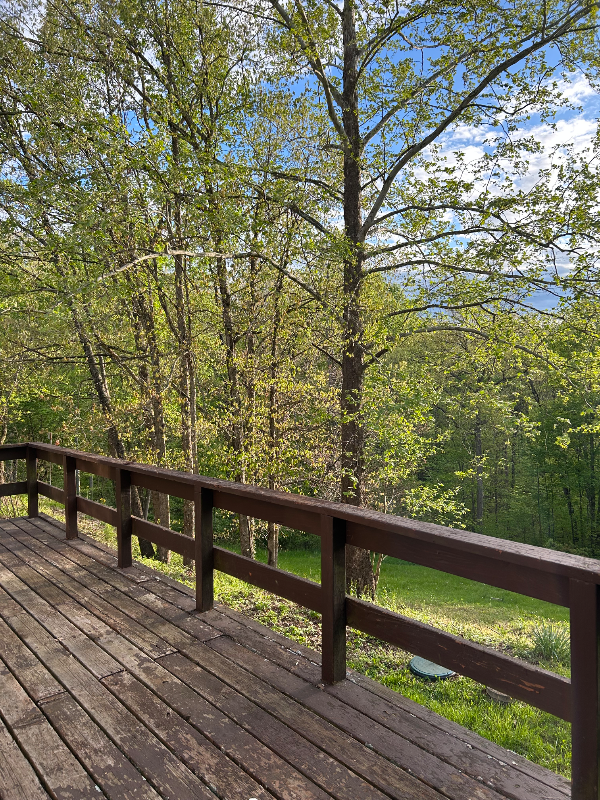 1770 State Rd #1E - Photo 4 of 10