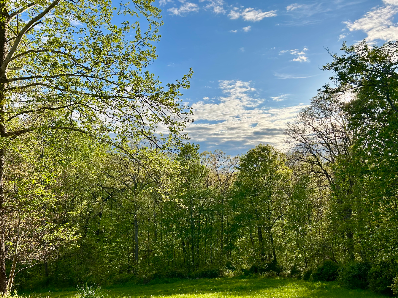 1770 State Rd #1E - Photo 6 of 10