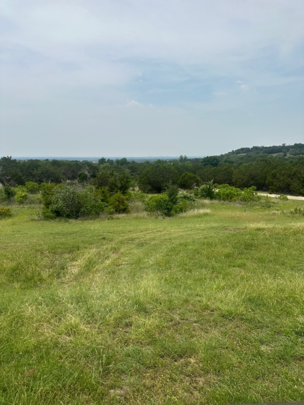 230 Lindas Ln - Photo 3 of 19