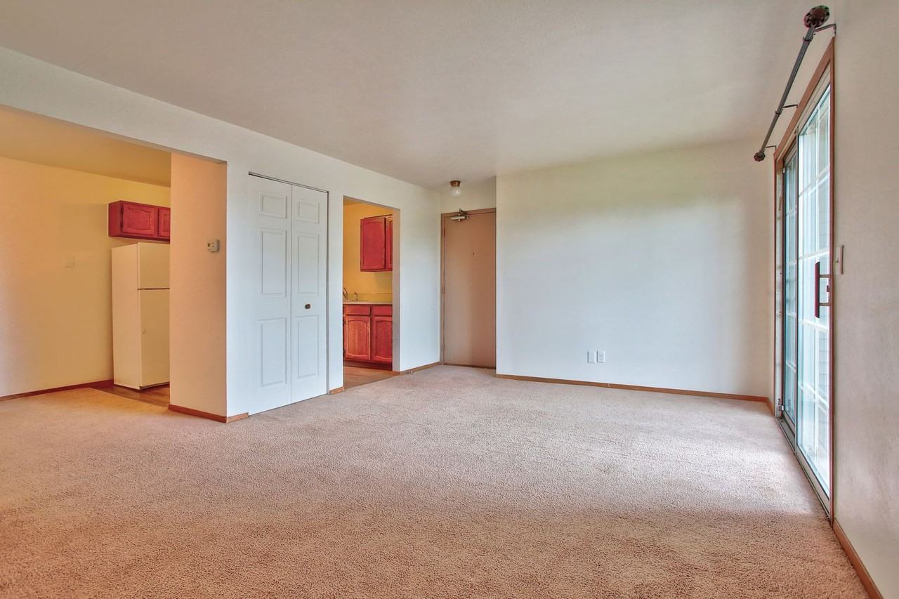 1019 Abbey Ct - Photo 3 of 16
