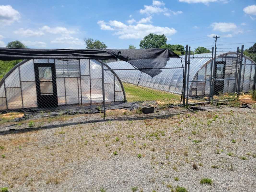 4784 Grace Chapel Rd - Photo 3 of 11