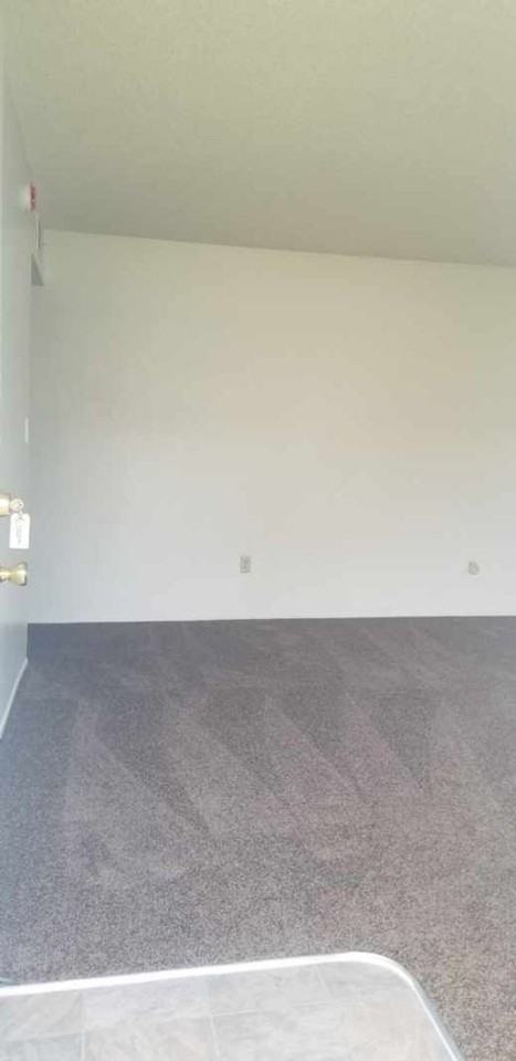 7116 Ming Ave - Photo 2 of 9