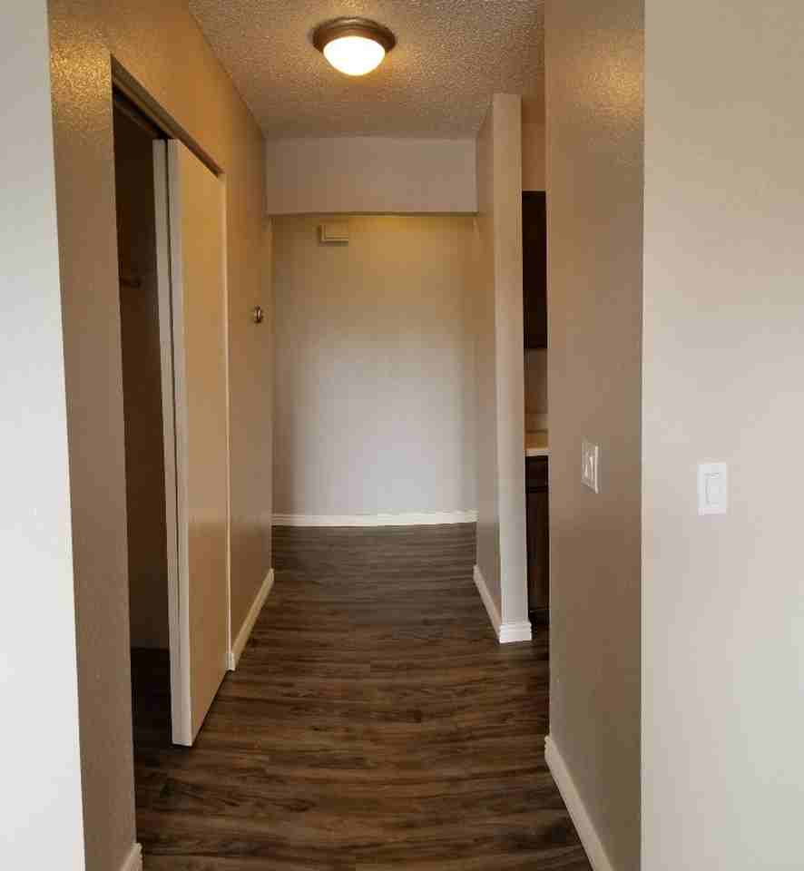 Indian Hills - Photo 4 of 47