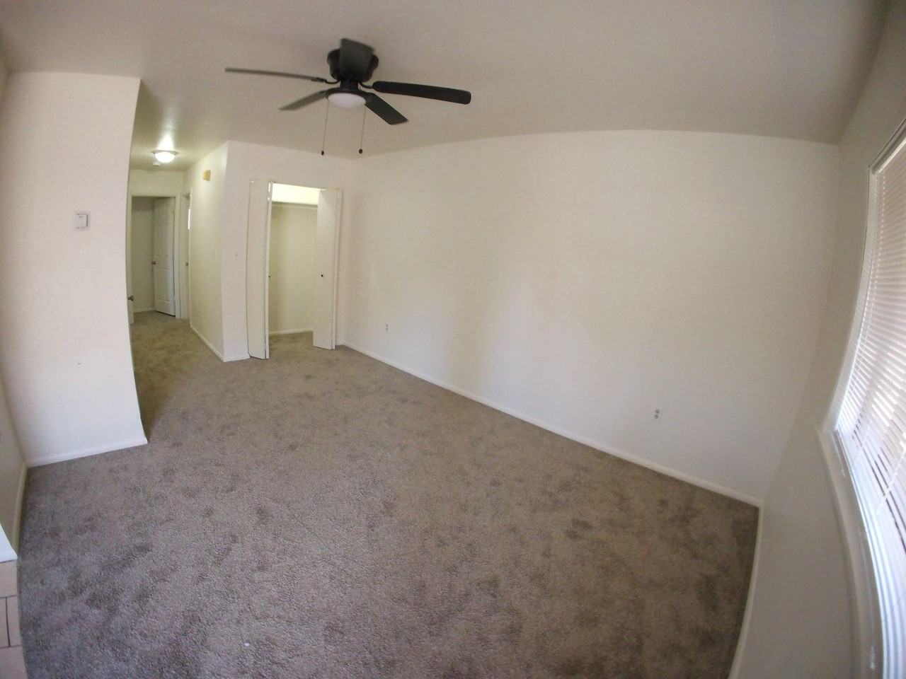 2905 N 3rd St #1 - Photo 6 of 13