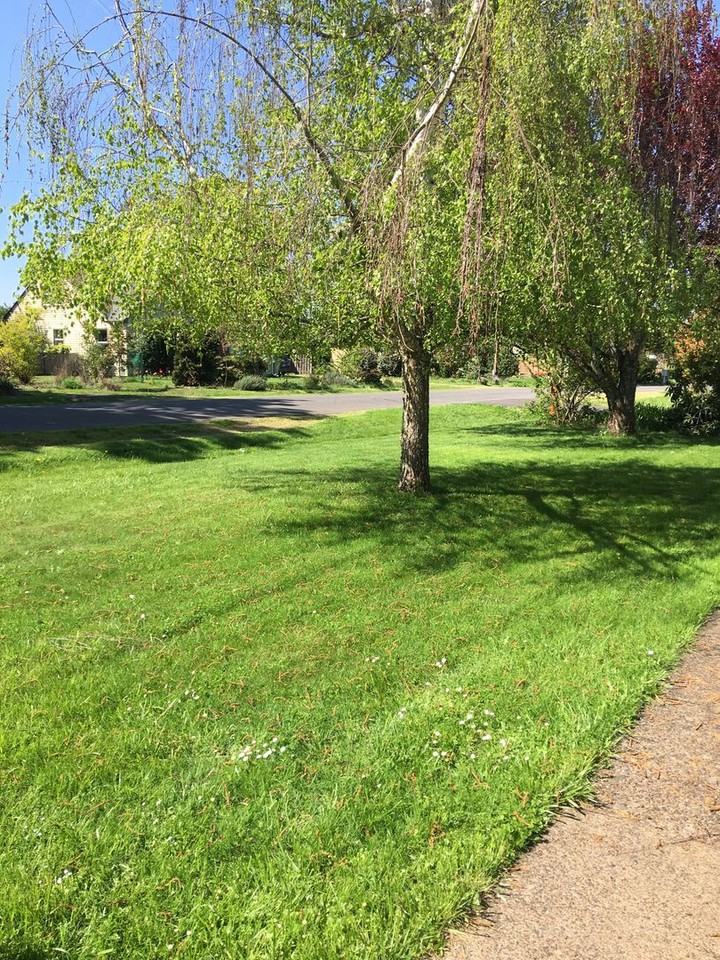 265 Se Richland Ave - Photo 2 of 5