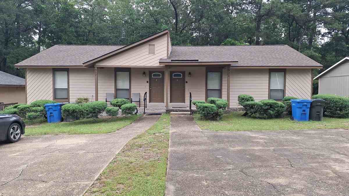 917 Odom Dr - Photo 3 of 50