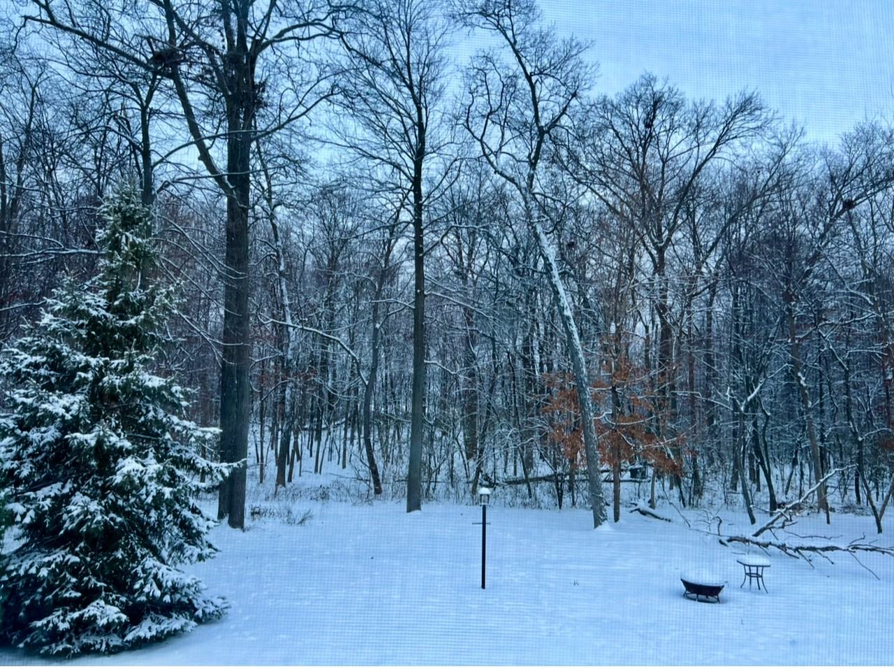 1388 Mamerow Ln W #NA - Photo 2 of 18