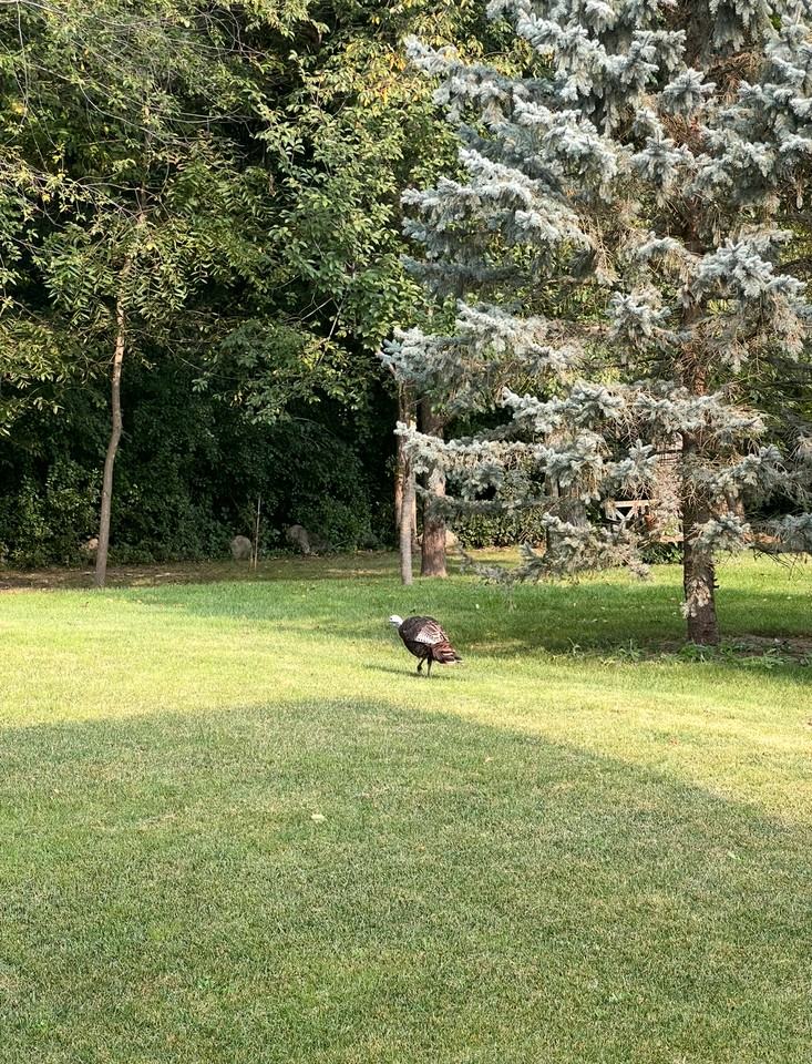 1388 Mamerow Ln W #NA - Photo 3 of 18