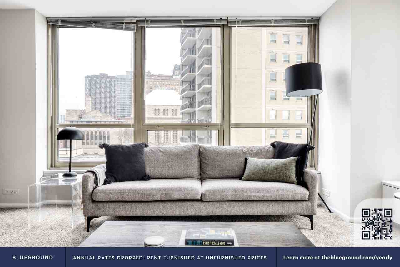 3450 North Lake Shore Drive - Photo 3 of 37