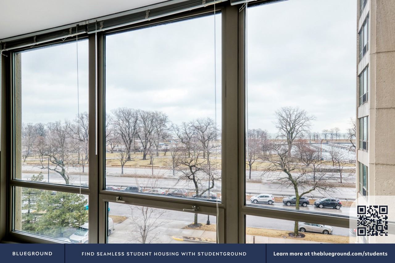 3450 North Lake Shore Drive - Photo 6 of 37