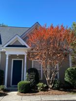 3557 Creeping Flora Ln - Photo 1 of 1