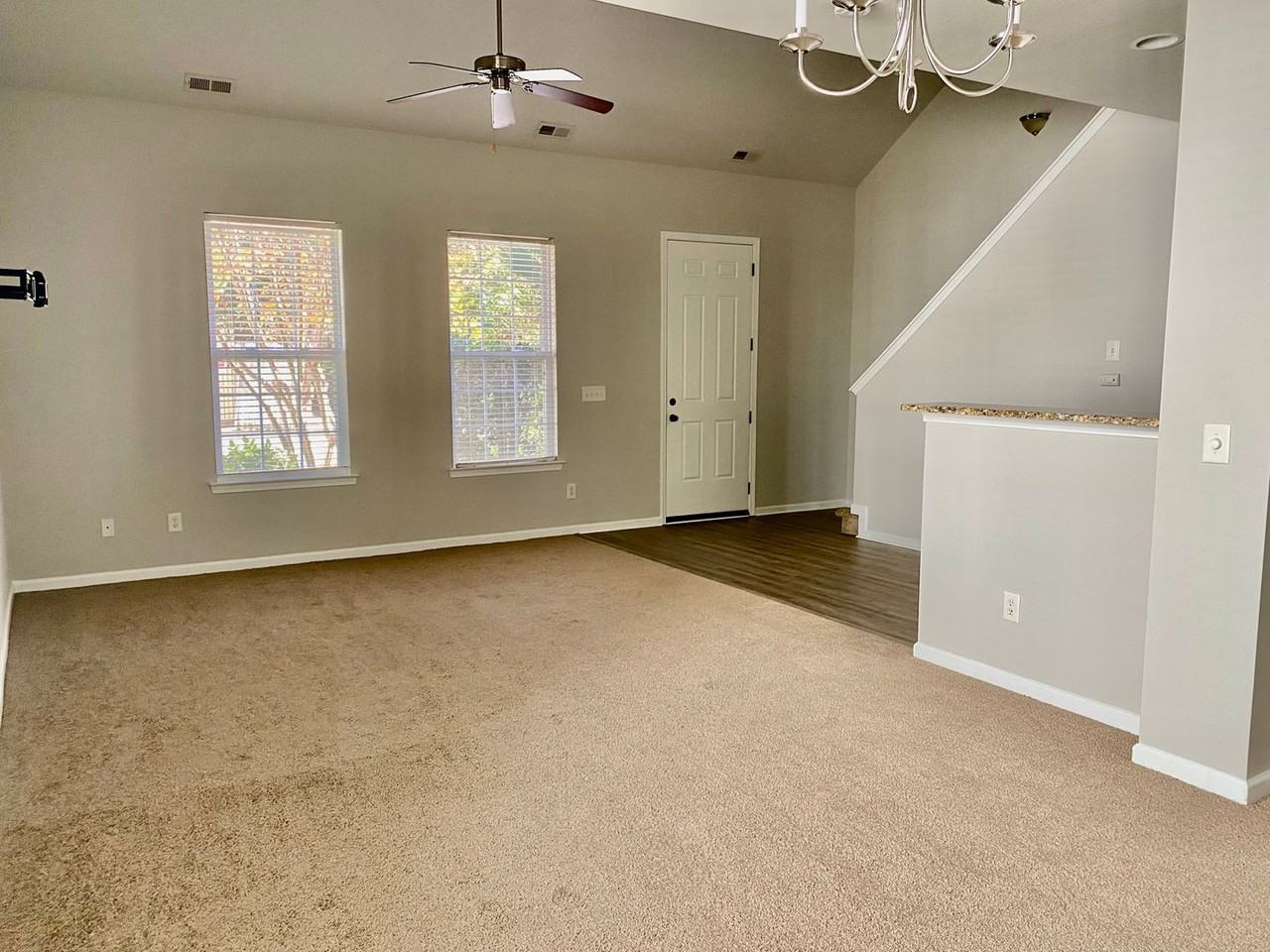 3557 Creeping Flora Ln - Photo 6 of 16