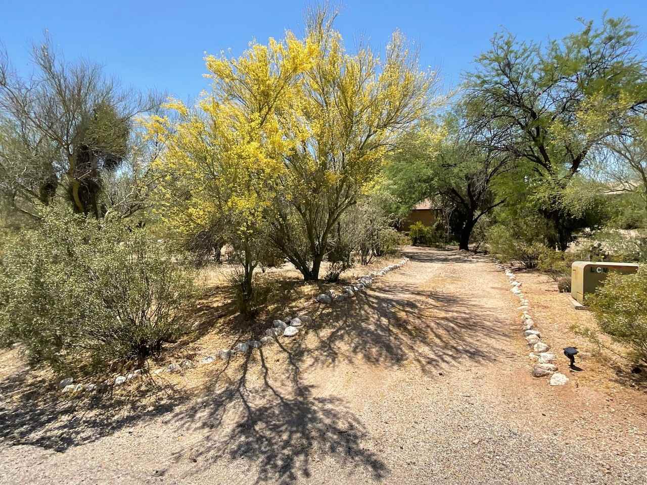 7821 N Leonardo Da Vinci Way - Photo 2 of 50