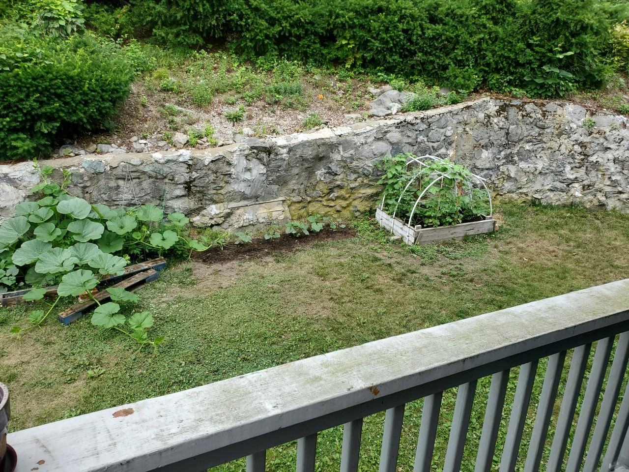 Wiltshire Rd #1 - Photo 7 of 12