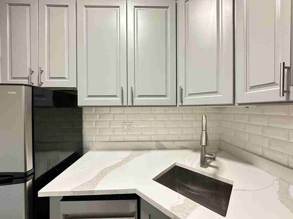 505 W Belmont Ave #4F - Photo 5 of 21