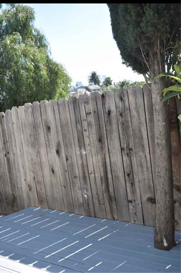 1101 Waterloo Street - Photo 5 of 15