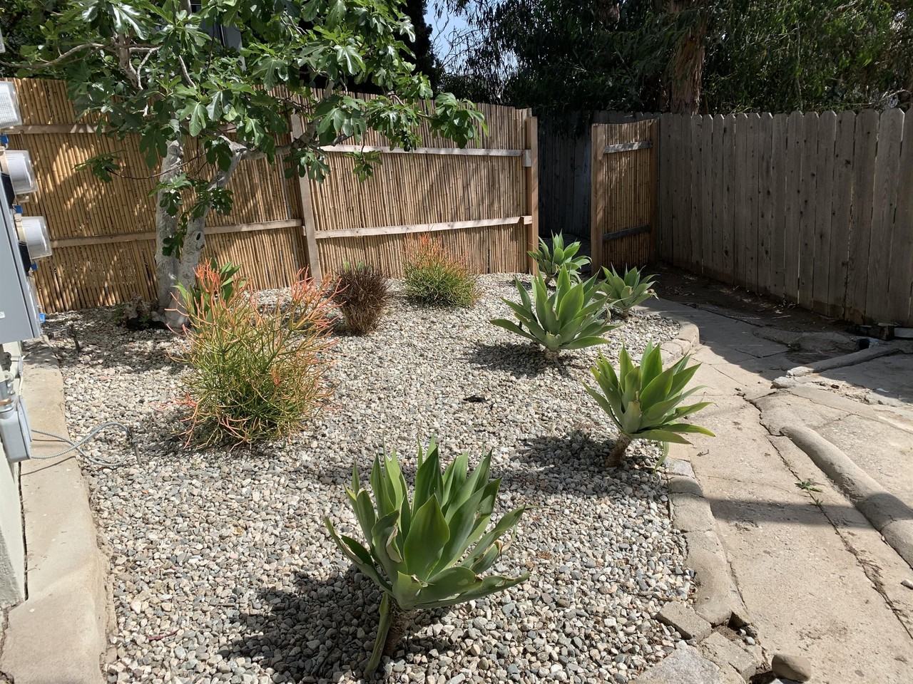 1101 Waterloo Street - Photo 6 of 23