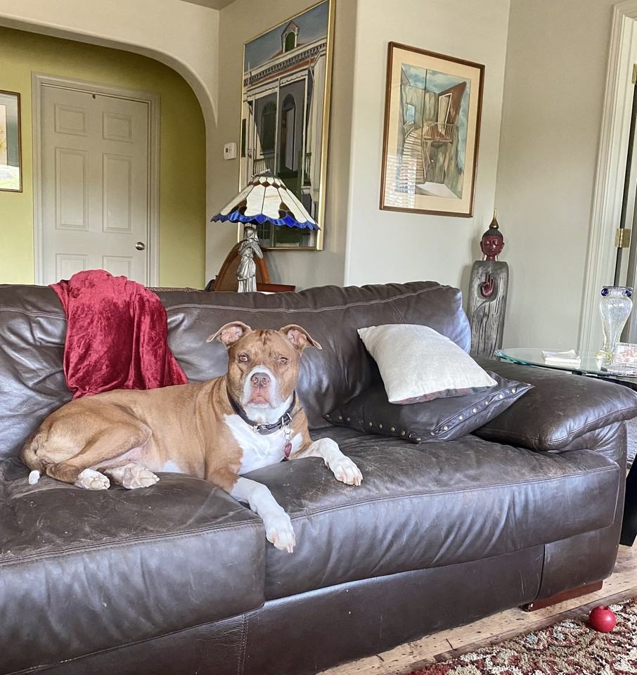 4733 E Robin Dr #NA - Photo 3 of 18