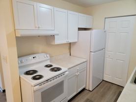 344 Polk St #101B - Photo 1 of 1