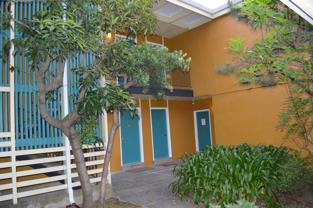 King Francisco St. - Photo 1 of 1