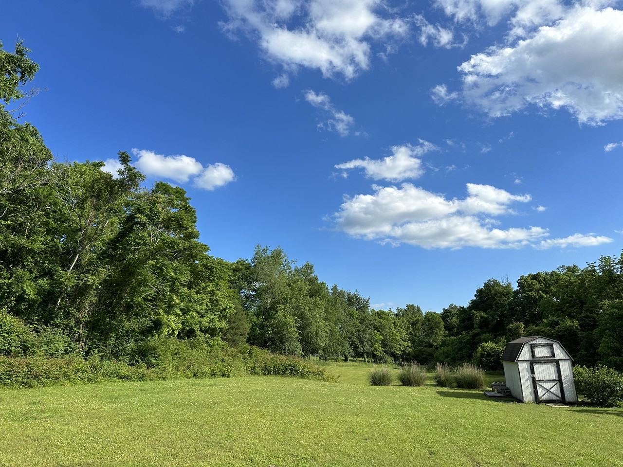 1329 Branchside Ct #NA - Photo 3 of 7