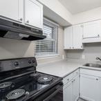 1810 Willomore Street - Photo 2 of 8