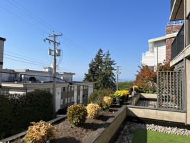 1285 Martin St #1 - Photo 1 of 1