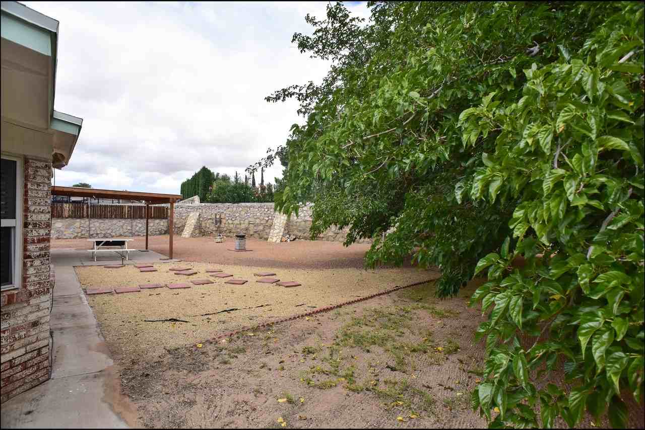 10824 Pico Norte Rd - Photo 6 of 46