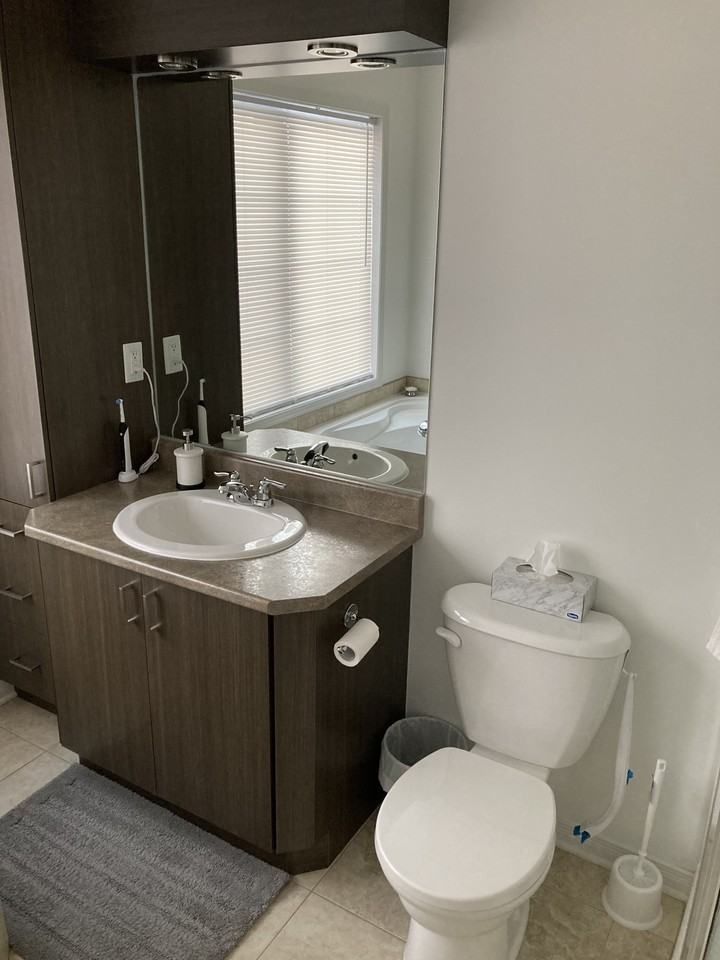 290 Rue Jean-Claude-Tremblay ##3 - Photo 4 of 8