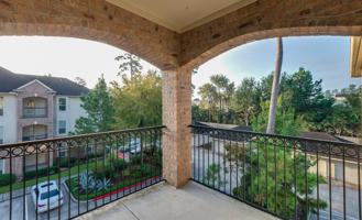 6607 Lake Woodlands Drive #398 - Photo 1 of 1