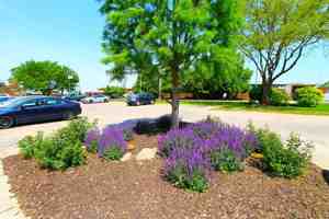 featured image of 10715 O Street