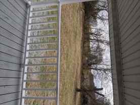 427 Demoss St - Photo 1 of 1