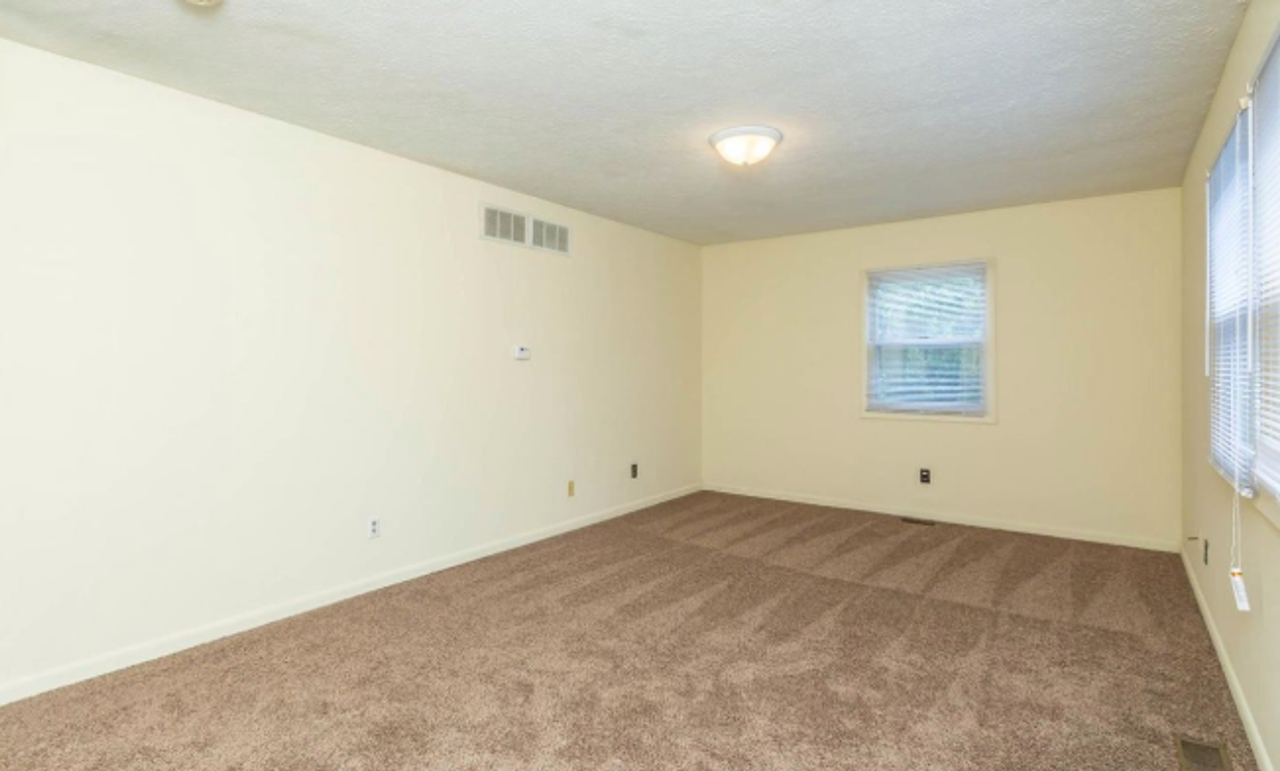 Chestnut Hill - Photo 2 of 25