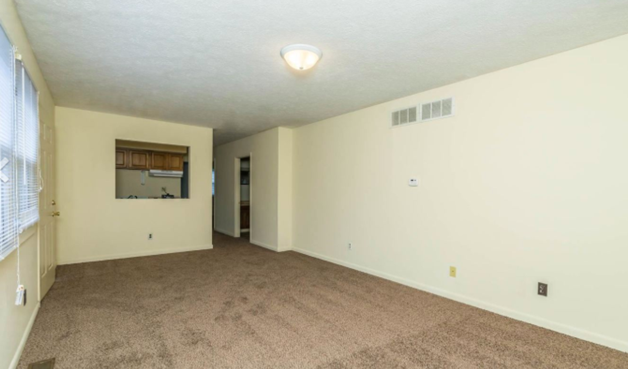 Chestnut Hill - Photo 3 of 25