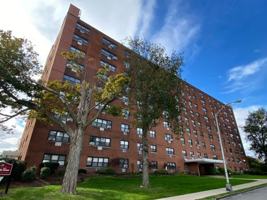 featured image of 248 Reynolds Terrace