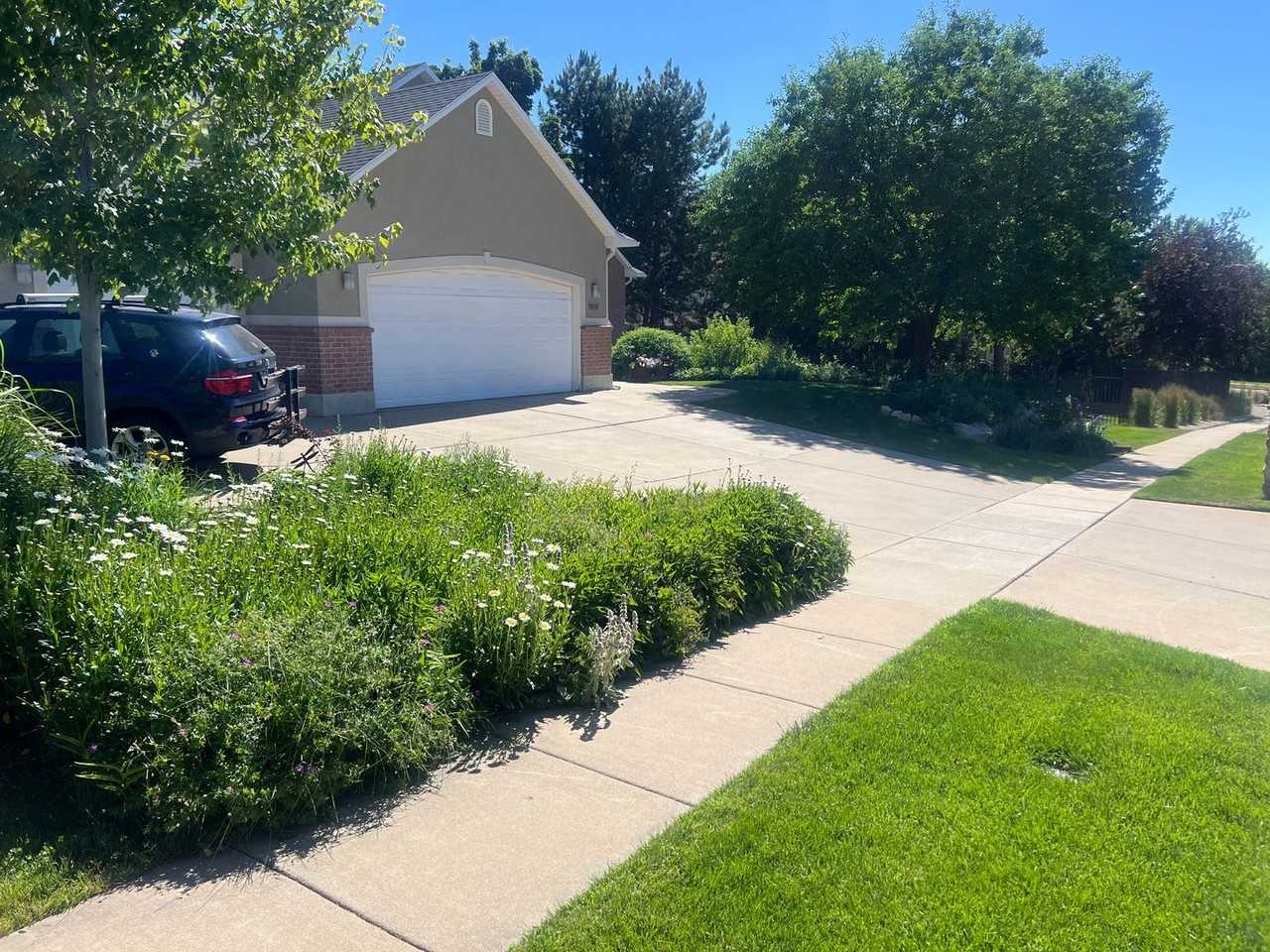 1909 Shadow Valley Dr - Photo 2 of 17