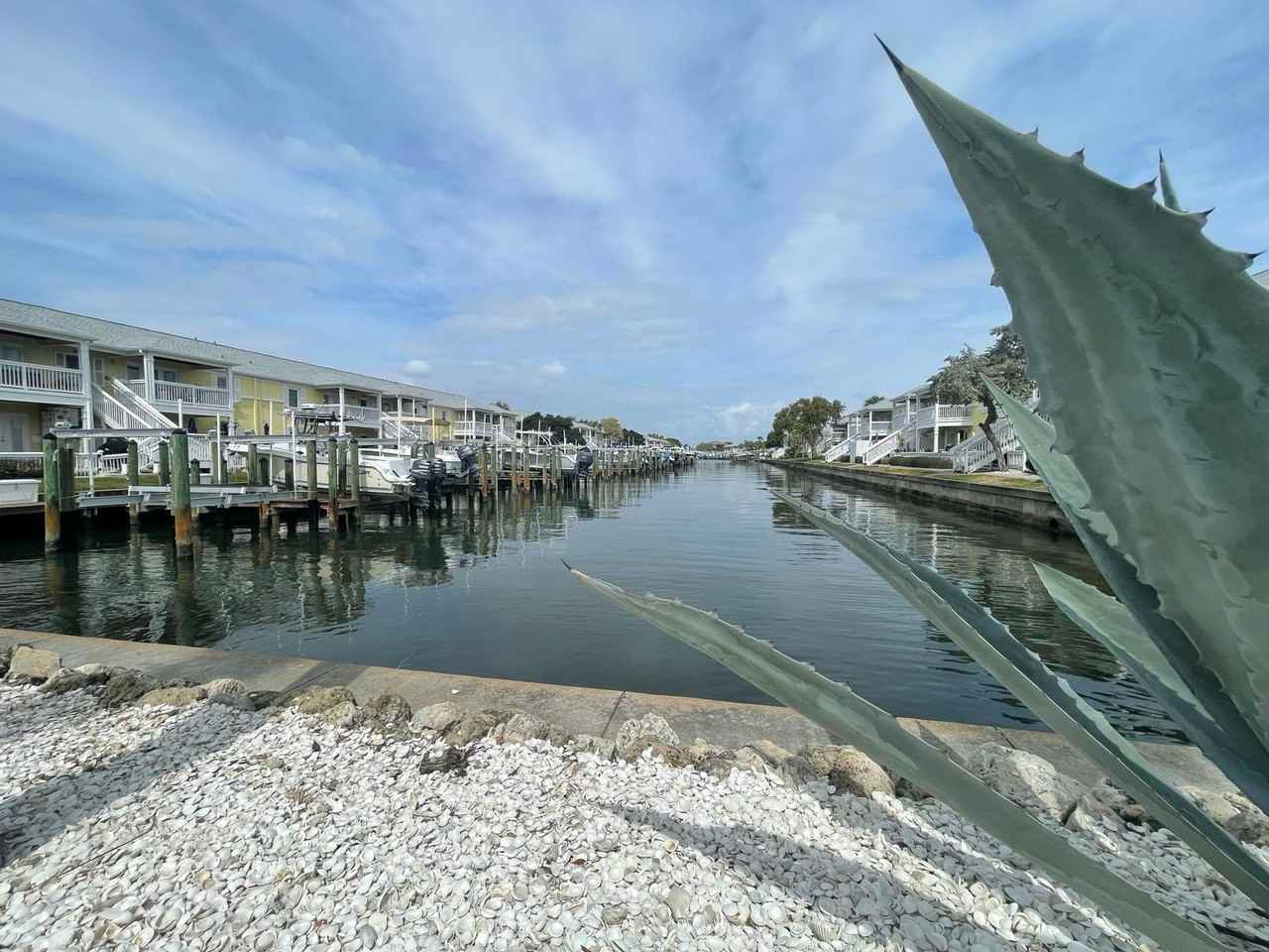 4730 Coquina Key Dr Se #1 - Photo 7 of 45