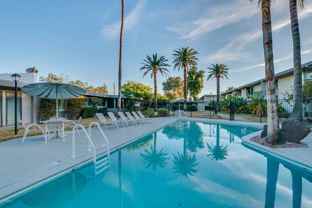 3242 E Camelback Rd #104 - Photo 1 of 1