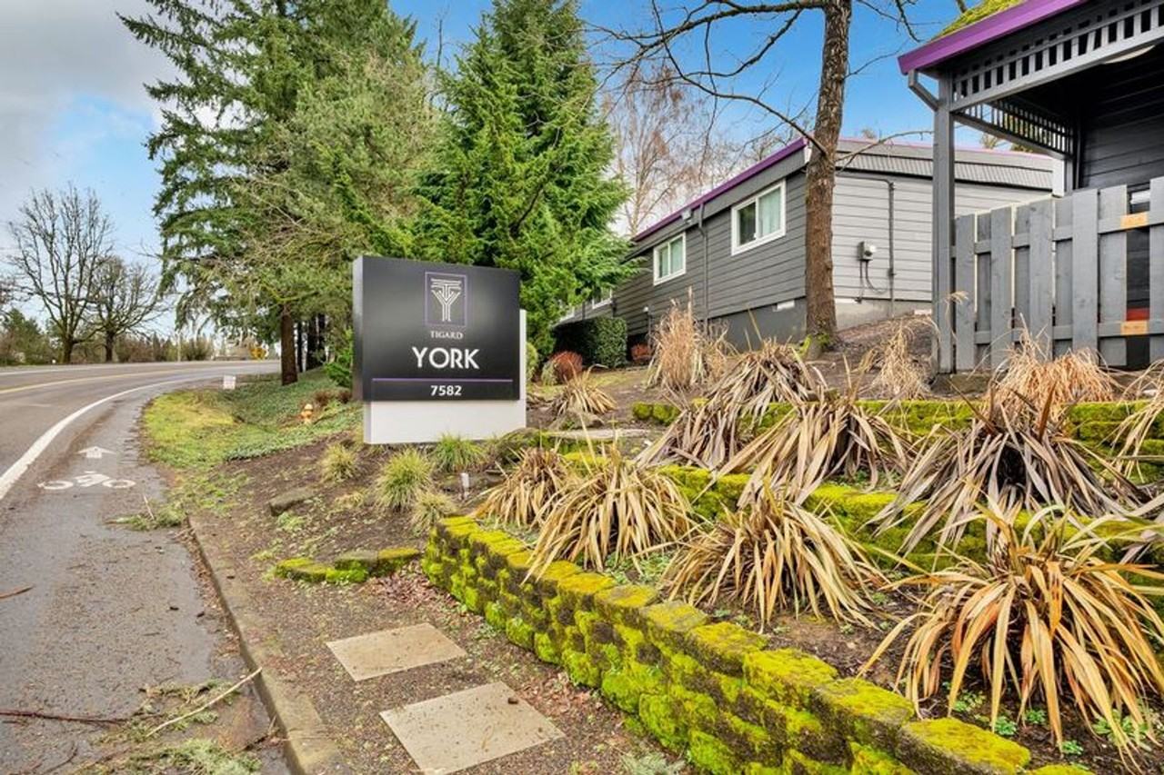 The York - Photo 3 of 19