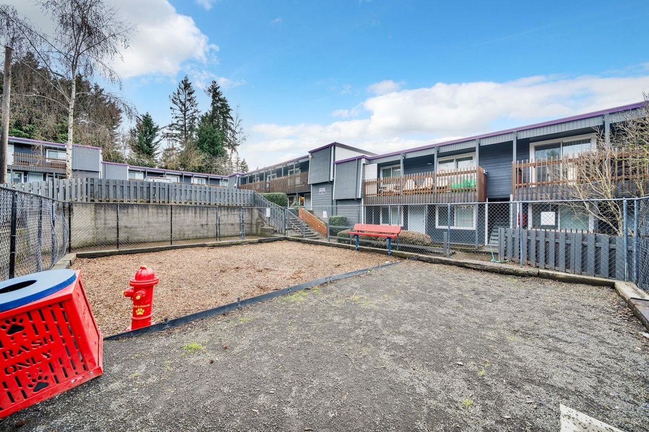 The York - Photo 4 of 19