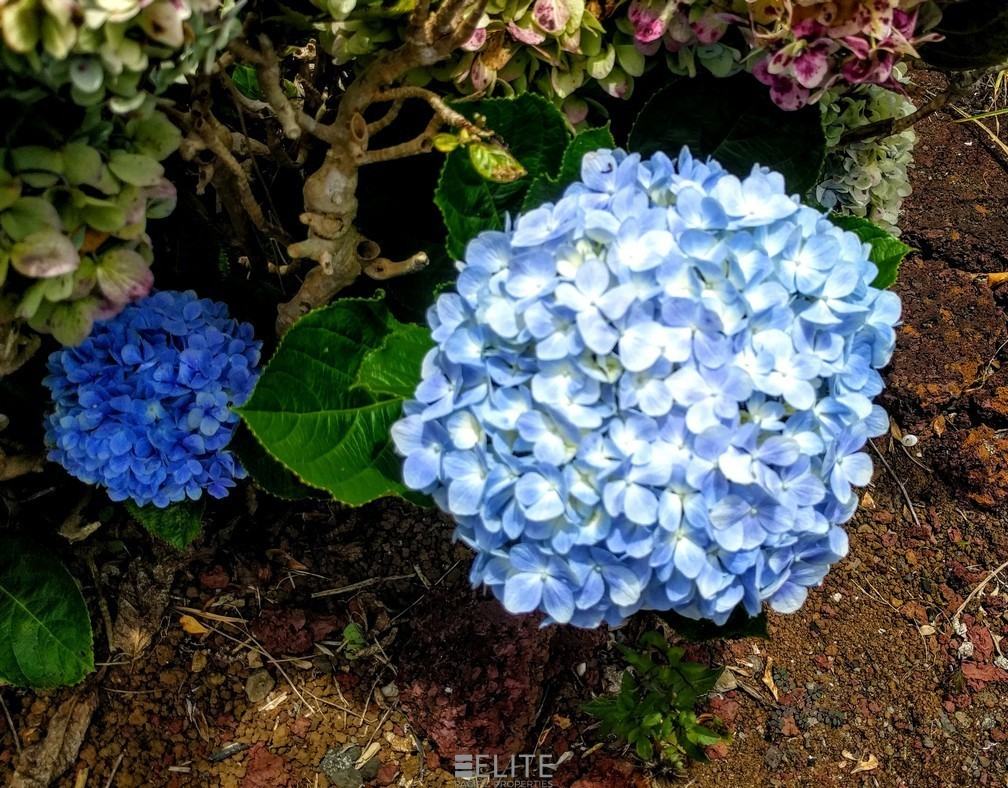 64-5222 Puanuanu Pl - Photo 3 of 14