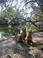 featured image of W Wilder Ave