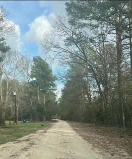 406 Cones Blvd - Photo 2 of 3