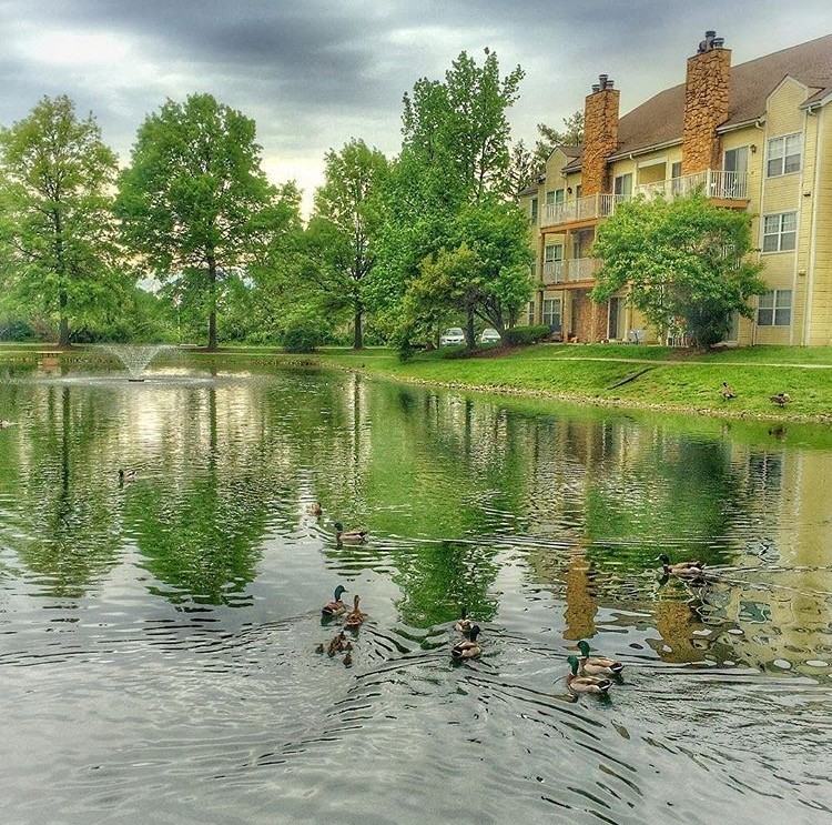 Winchester Place Apartments - Photo 2 of 50