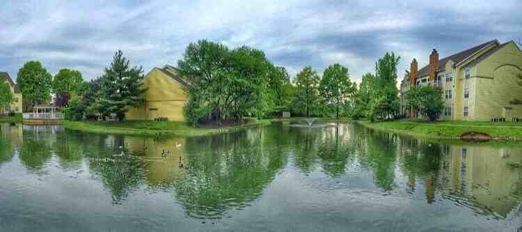 Winchester Place Apartments - Photo 6 of 50