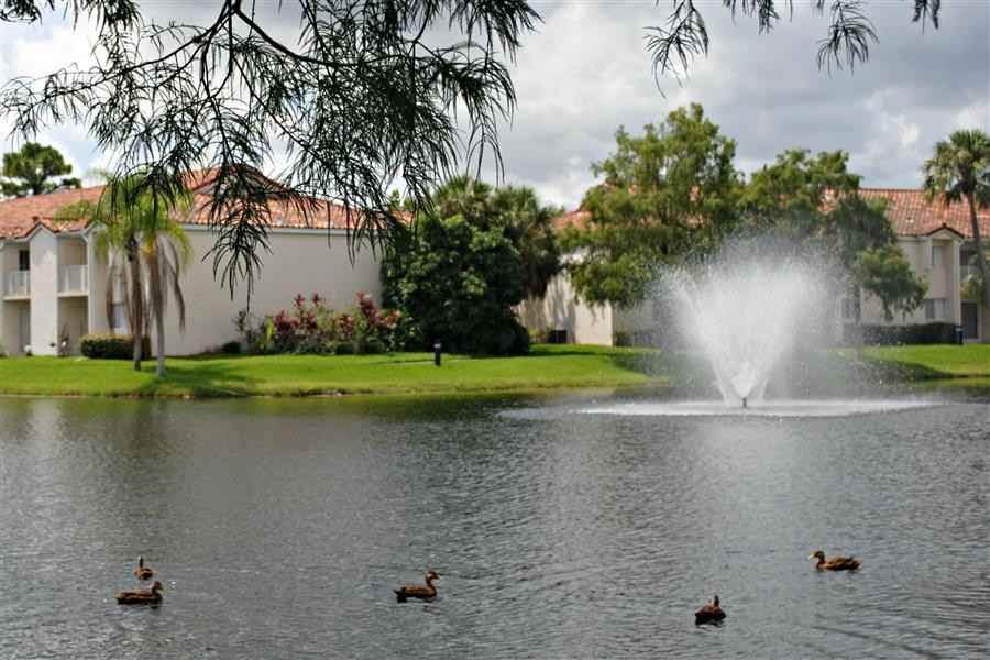 Country Club Lakes Apartments - Photo 6 of 45